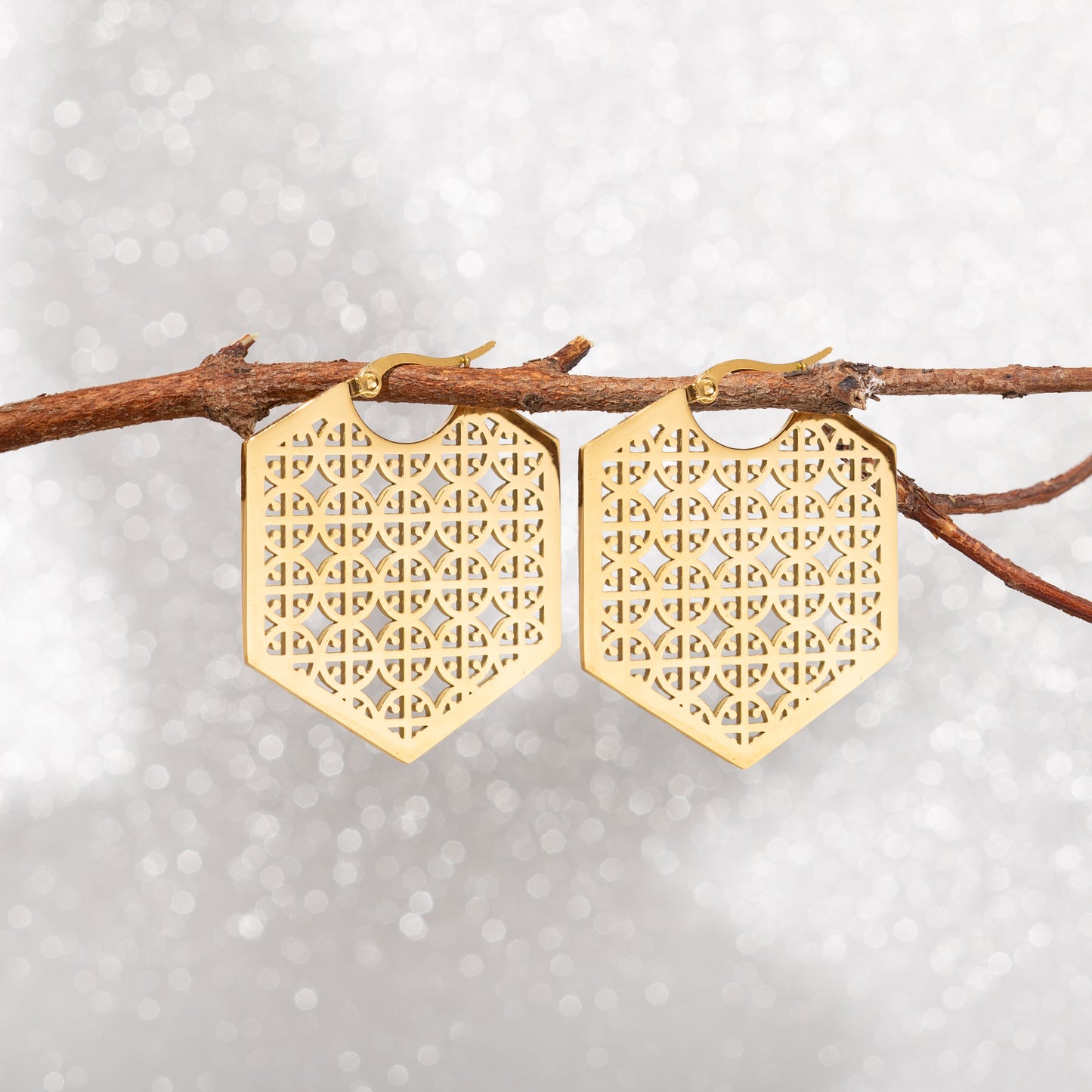 Imani Gold Earrings